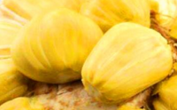 菠萝蜜的营养价值及功效与作用（菠萝蜜的营养成分和食用方法）
